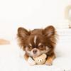 Silicone Mini Bear Squeaky Dog Toy for Small and Medium Dogs Popular Suitable for Toy Poodles and Chihuahuas monchéri Toy, (FREE/Beige), Cute,