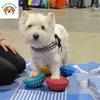 AVC Dog Hemispherical Paw Pad Trainer Balance Correction Muscle Recovery For Knee Patella Lumbar Spine Pet Rehabilitation