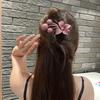 1PC Flower Fruit Hairpin Female Korean Version of High-end Ponytail Duckbill Clip Fashion Temperament Matte Hairpin Hair Accessories
