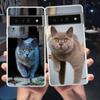 British Shorthair Cat For Google Pixel 8 7 6 Pro 6A 5 4 5A 4A 3A XL 5G Phone Case Shockproof Soft TPU Transparent Cover Fundas