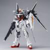 Bandai SPIRITS MG Gundam Ex Impulse Многоцветный 1/100