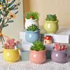 6 Pieces/Set Colorful Flower Pot Succulent Plant Pot Ceramic Planter Home Office Decoration Bonsai Pot