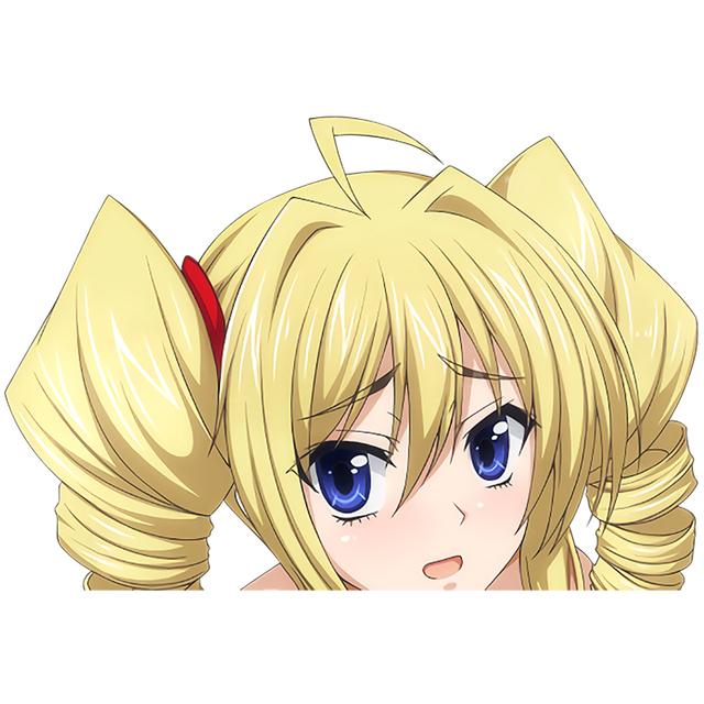 J545 # для аниме девушки Himejima Akeno наклейка на автомобиль виниловая наклейка водостойкие украшения наклейки для автомобиля