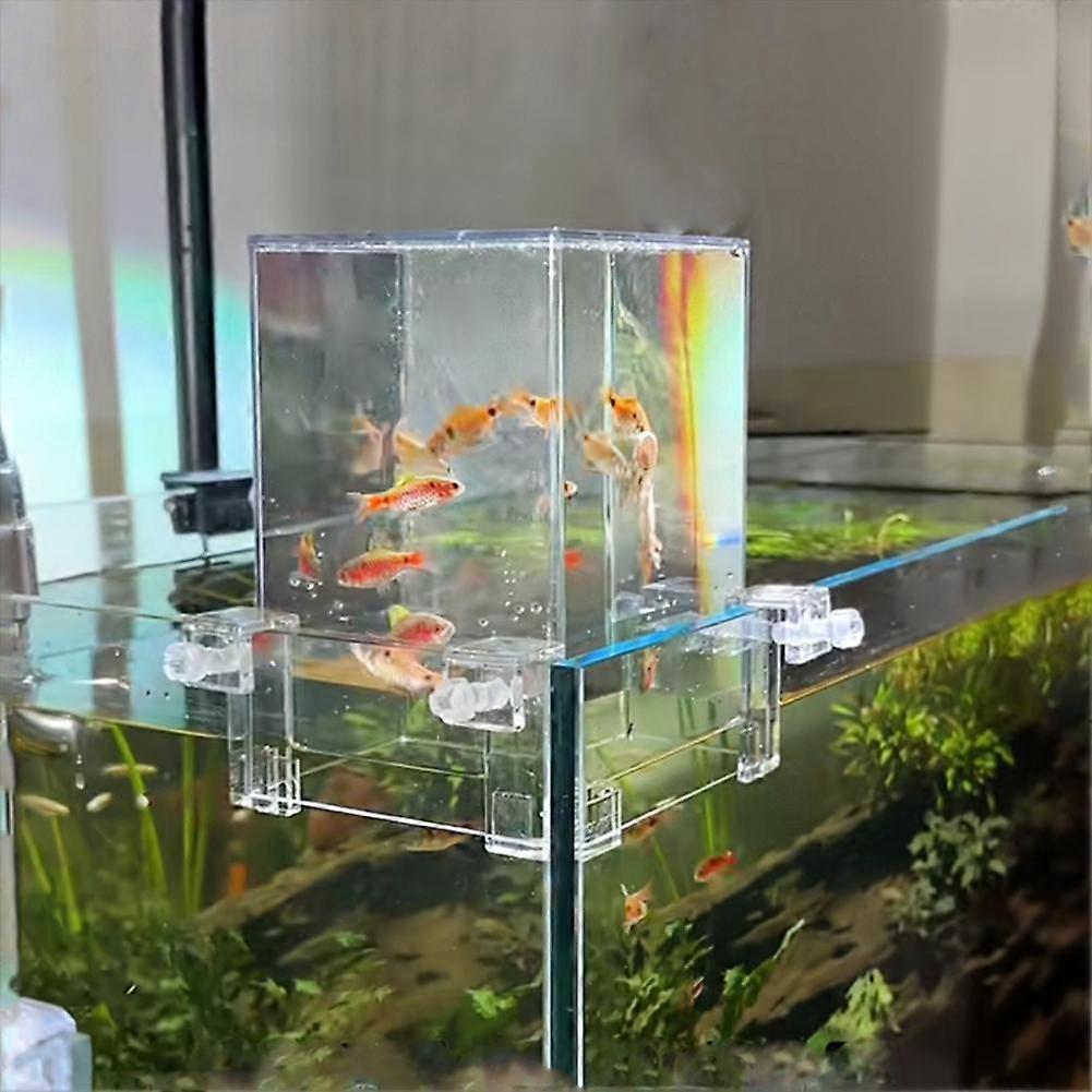 Above Water Fish Tank, Fish Elevator Inverted Aquarium, Transparent Fish