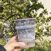 Самополивающийся Цветочный Горшок Двухслойные Горшки для Растений Горшки для Рассады с Отверстиями Садовые Автоматически Впитывающие Воду Горшки с Контролем Корней
