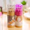 Constellation Girl 12-Color Cute Colored Pencils Set for Students