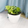Automatic Round Self Watering Office Garden Supply Home Decor Flower Pots Plants Basket Planter