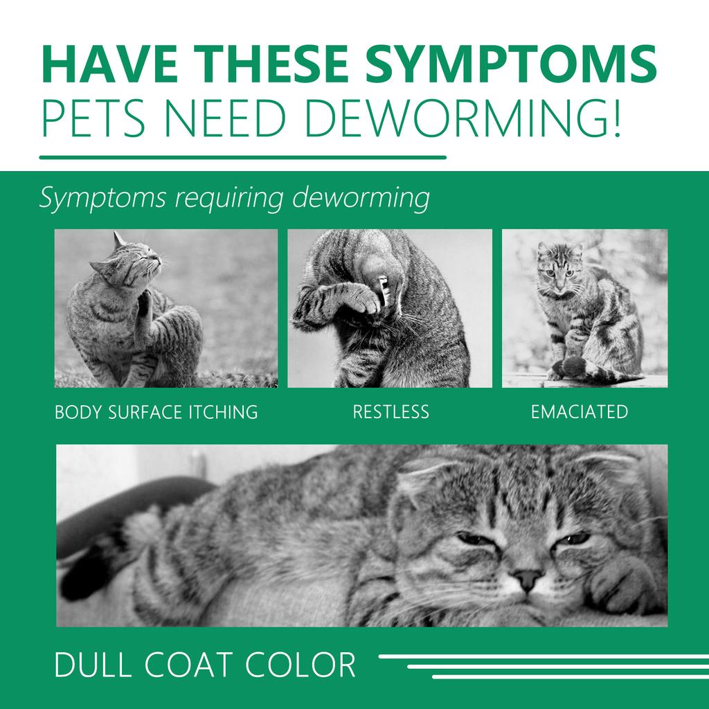 YEGBONG ошейник от насекомых для кошек, собак, блох, клещей и домашних животных, водонепроницаемый и регулируемый ошейник против зуда и насекомых для домашних животных