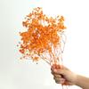 Yunnan Preserved Baby's Breath Bunch - Colorful DIY Home Decor Flower