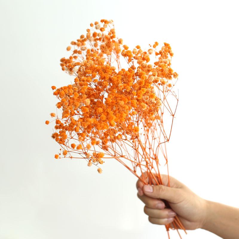Yunnan Preserved Baby's Breath Bunch - Colorful DIY Home Decor Flower