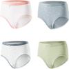 Женское хлопковое антибактериальное нижнее белье средней посадки, 4 шт.