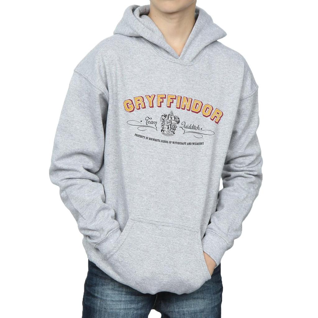 Harry Potter Boys Gryffindor Team Quidditch Hoodie