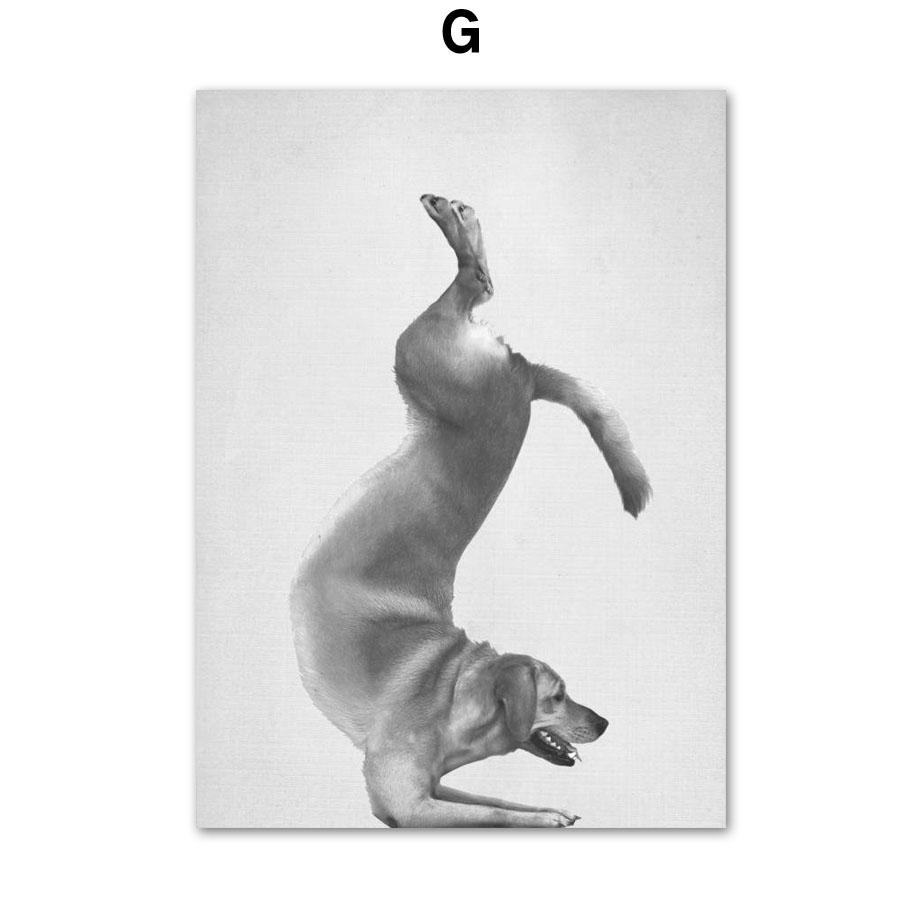 Танцы Йога кошка собака обезьяна настенная живопись на холсте черно-белые постеры на скандинавскую тему и принты настенные панно для декора гостиной