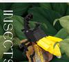Набор конструктора Zhiying: Фигурки Панды, Насекомых, Птиц, Морских существ, Осьминога и Орла.