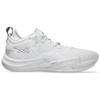 Asics Кроссовки унисекс Nova Surge 2 Low White Pure Silver 1061A051-100