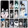 Чехол для телефона с милым щенком аляскинского хаски для Samsung Galaxy A51 A71 A21S A12 A11 A31 A52 A41 A32 A72 A02S A01 5G, силиконовый чехол