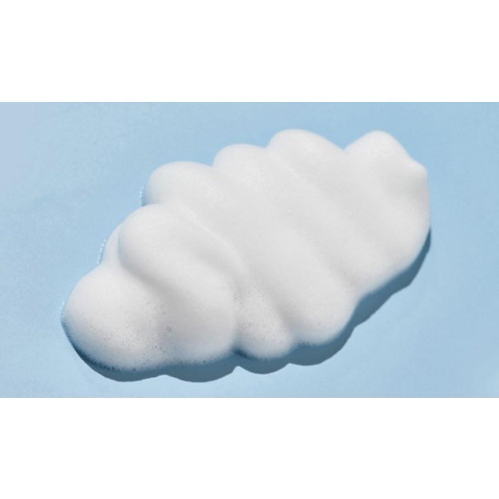 ROUND LAB 1025 Dokdo Bubble Cleansing Foam, 150ml, 1 Piece