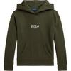 Худи Polo с принтом логотипа, с длинным рукавом, детские худи, зеленый 323961255-001