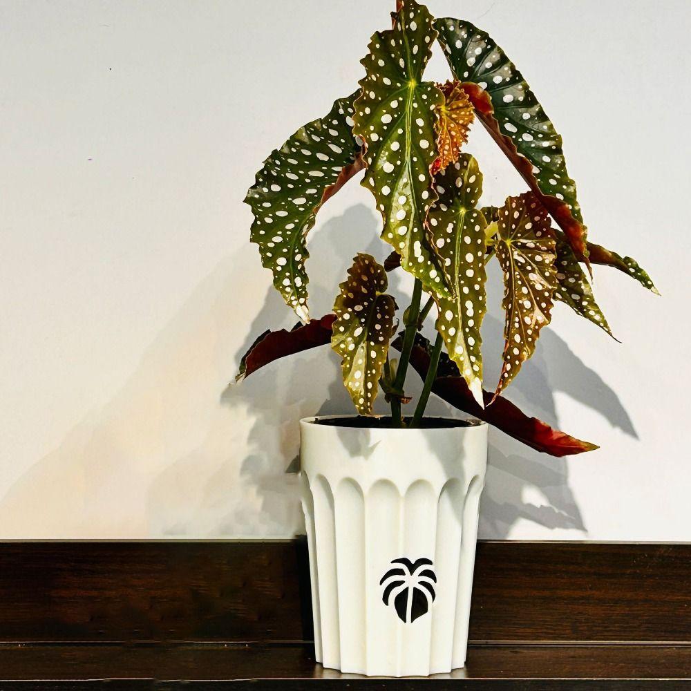 Простой в использовании ленивый цветочный горшок, дышащий пластиковый горшок для растений, самополивающийся гидропонный горшок для сада