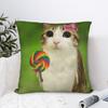Meowl Чехол на подушку с забавным принтом Кошка Сова Наволочка Теплые Домашние Украшения Квадратный Различные Размеры