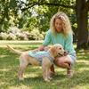 Heat  Breathability Heat Dissipation Dogs And Cats Back And Chest Strap