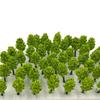 DauStage Cedar Tree Forest Choose Your Color or N for and Model Miniature Light Model, Size, Gauge, Dioramas, Railways, Architecture, Trees,