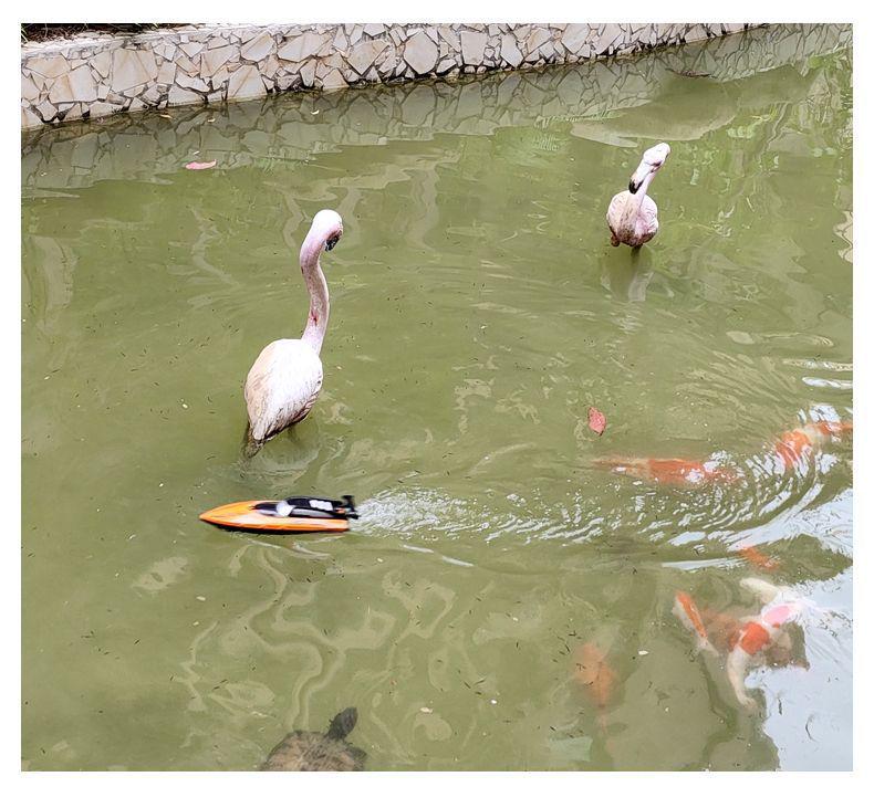 High-Speed Dual-Motor RC Boat - Waterproof Twin-Propeller Speedboat Toy for Kids