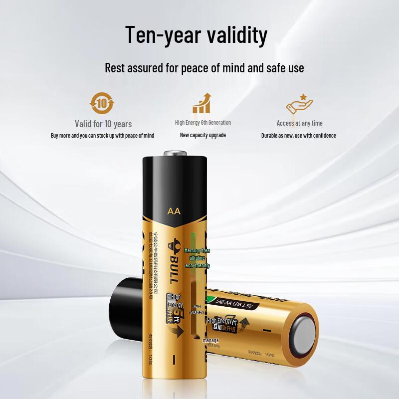 BULL AA Alkaline Batteries CN plug (adapter included)