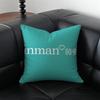 Minimalist IINMANS Casual Fashion Cushion Cover Pillow Case Antidustmite Invisible zipper silky plush cushion