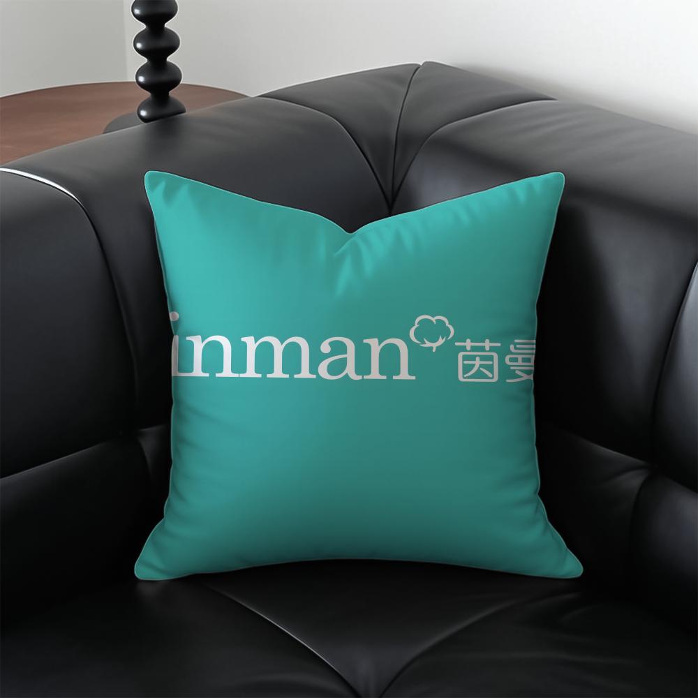 Minimalist IINMANS Casual Fashion Cushion Cover Pillow Case Antidustmite Invisible zipper silky plush cushion