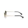 Kai Sunglasses RB3757-921387-59
