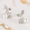 Zoomers Earrings Cherry Cherry Silver Zirconia Plating Cute Popularity South Korea Fashion Accessories Jewelry Fashionable Gift Present Gift Beautiful
