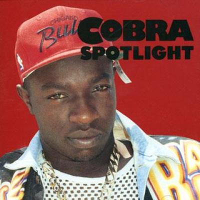 CD MAD COBRA - В центре внимания (Японская пресса) OVE0008 Перегрев Музыка 1991 Япония Регги, Ска и Даб Б/У