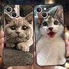Роскошный мягкий чехол из ТПУ для iPhone 17 Air 16E 16 11 15 14 Pro MAX 12 13 7 8 Plus X XR XS SE 2022 Cover Kawaii Кот с сердцем