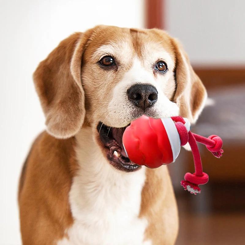 Electric Rolling Dog Ball 3 Mode Dog Toys Automatic Balls Puppy Chewing Supplies Quiet Exercise Accessories For Park Grassland