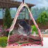 1PCS Spring Summer Canvas Pet Hammock Hanging Cave Bed for Parrots and Other BirdsWatermelon L