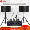 HuiDu 6.5-inch Professional Conference Audio System (CN version)