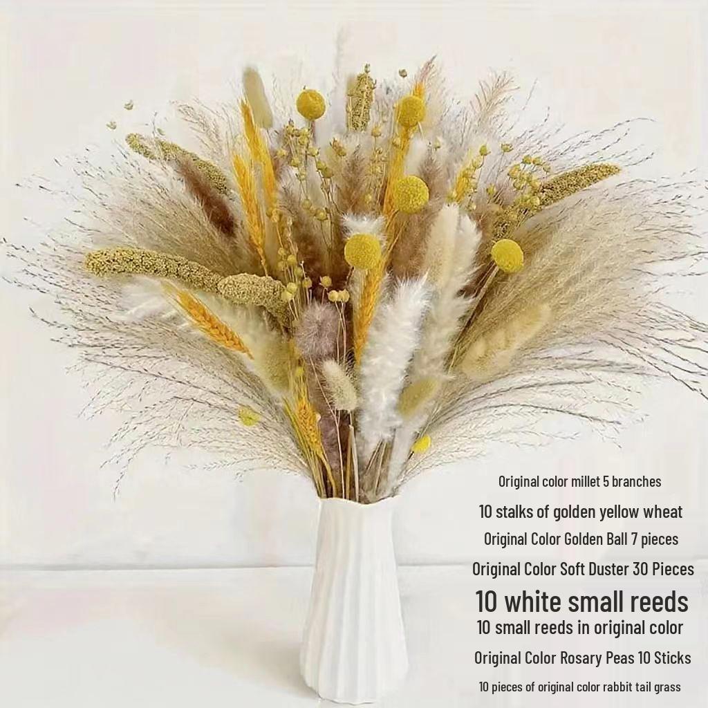 Preserved Rabbit Tail Grass Bouquet - DIY Dried Flower Decoration with Pampas Grass