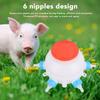 13 Pcs Set 2.6 Quart Lamb Milk Bottle Thickened Piglet Feeder Bottle  Young Livestock