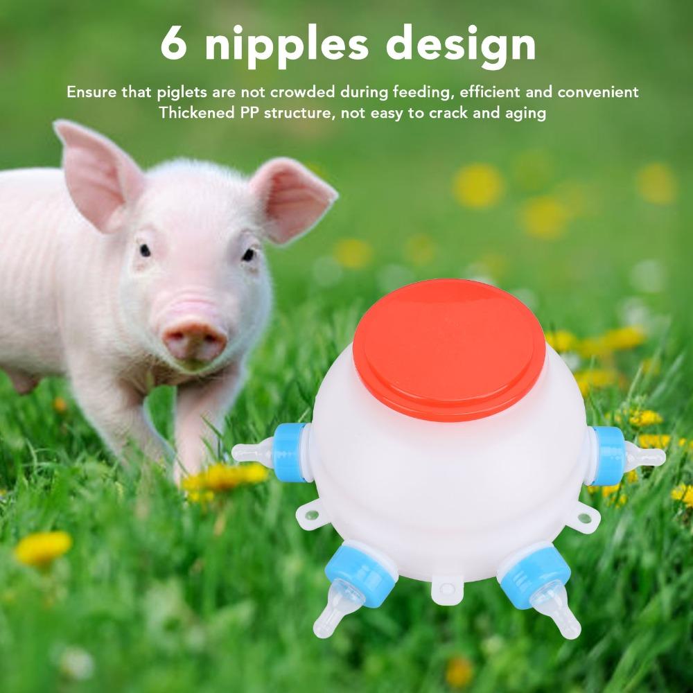 13 Pcs Set 2.6 Quart Lamb Milk Bottle Thickened Piglet Feeder Bottle Young Livestock