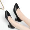 Fashion Work Mother Soft Sole Comfortable Mid-heel Single Shoes Women Thick Heel Middle-aged Non-slip Soft Leather Shoes Spring Autumn