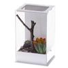 Acrylic Terrarium for Mantises, Stick Spiders, Insects Allegro