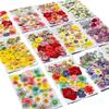 Natural Herbs Kit Dried Pressed Flowers Real Pressed Flowers Dry Leaves Bulk for Scrapbooking DIY Art Crafts Epoxy Jewelry Molds Soap Making