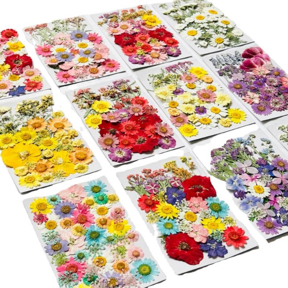 Natural Herbs Kit Dried Pressed Flowers Real Pressed Flowers Dry Leaves Bulk for Scrapbooking DIY Art Crafts Epoxy Jewelry Molds Soap Making