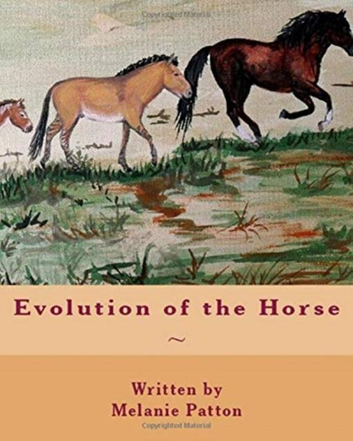 The Evolution of the Horse Book