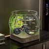 Compact Desktop Ecosystem Tank: Round Bottom, Ideal for Living Room or Study, Includes Decorative Micro Landscape and Small Fish Aquarium.