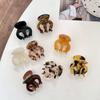 Fashion Luxury Headdress Women Hair Claw Acetic Acid Korean Style Hair Clip Small Shark Clip