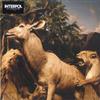 LP Пластинка INTERPOL - Our Love To Admire OLE1504LP Matador 2020 Европа Рок