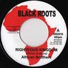 7inch Record AFRICAN BROTHERS - Righteous Kingdom NONE Black Roots UK Reggae, Ska & Dub Used