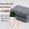 100W Intelligent Timed Dual Control Electric Blanket Thickened Student Dormitory Heating Quilt Household Temperature Regulating Blanket